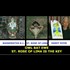 Man blows Pizzagate wide open, uses sources and investigation to allege that Sandyhook wasn't a hoax, but a massive kidnapping.