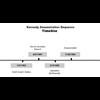 The JFK Assassination Timeline / The Countdown to Zion.