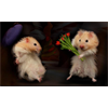 Hamster have flower for you