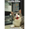 Excited kitteh iz excited