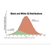 There are racial differences in IQ. That's why jobs with brains are less diverse and why black cities are dangerous. It all boils down to race and IQ.