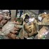 Child Trafficking and Organ Harvesting in Malaysia. Can someone research where these poor kids were found and what organizations exist in Malaysia?