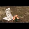 Anthropomancy Rituals? Baby Ciara's reproductive organs were removed but still dont know where they were sent to, or what they were used for." The Barbara Farnham story (Jan 2006)