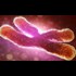 The Over-the-Counter Cancer Cure Youre Not Supposed to Know About