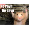 No payn no gayn!