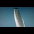 Chemtrail Pilot Blows The Lid Off Of OPERATION INDIGO SKYFOLD The Most Secret Covert Black Operation In World History