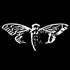 Are the Illuminati preparing for a Cyber War? "The Eerie Enigma of Cicada 3301"