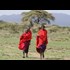  Tanzania evicting 40,000 people from homeland to make room for Dubai royal family 