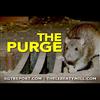 The Purge: Rats are being rounded up. SGTreport
