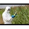 Old time farmer discusses the impacts of GMOs on behavior within livestock, and how it takes decades to get the info out
