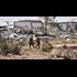 Israeli jets strike military facility in Hama, Syria: "State-run news agency says two killed in air strike conducted from Lebanese airspace targeting facility in Hama."