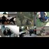 FBI Report: Americans Less Violent than Ever, Except for Police