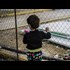 Four-year-old girl among refugees raped in Greece as children forced into prostitution to survive