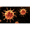 Breakthrough? Single dose of common agricultural drug Ivermectin found to "essentially eliminate all viral material" of COVID-19 coronavirus within 48 hours