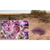 Mysterious purple spheres found in the desert spark speculation