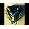 Why does Pakistan have the Masonic Sigil of the Baphometh or Bafometz as its symbols, a demon from Babylon, Tunisia and Jewish mysticism, the Tarot Baphomet or Goat Bull of Mendes as its Symbols?