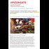 James Alefantis lies about having a basement at Comet Pizza