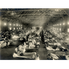 Did a Military Experimental Vaccine in 1918 Kill 50-100 Million People Blamed as "Spanish Flu"?