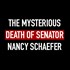 #PizzaGate: CPS Investigation Ends In Death of Sen. Nancy Schaefer