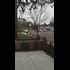 BUSTED! See This Video of a Pizzagate Gunman Taken Into Custody? They already Have Crime Scene Tape Up? While They are Arresting Him? HAHA SO STAGED! BUSTED!