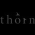 Ashton Kutcher's Thorn: We partner across the tech industry, government and NGOs and leverage technology to combat predatory behavior, rescue victims, and protect vulnerable children.