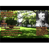 A Soft-spoken Reading of "War Is a Racket" By Major General Smedley Butler. Includes Some of the Mathematics Showing the War Profits Made by the Corporations