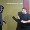 Train like you fight