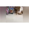 Angry Black Woman freaks out during shopping