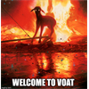 Welcome to Voat...