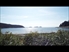 HORROR " Pacific Ocean Now Dead From Fukushima Radiation "