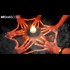 Breaking: Top Democrats Admit To Conducting Satanic Rituals / Murders