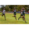 If race is a social construct, why are the top five runners on the U.S. Track and Field Cross Country Team Kenyan?