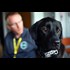 Child porn-sniffing police dog busts Everett catfisher caught collecting child pornography. He used to pose as a boy in bid for nude pics of teens